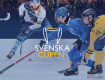 Bollnäs behåller Svenska Cupen – långsiktig satsning på publik och upplevelse